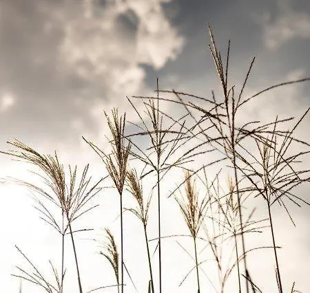 Triad Gaestehaus Dz Pensjonat Krumbach (Lower Austria)