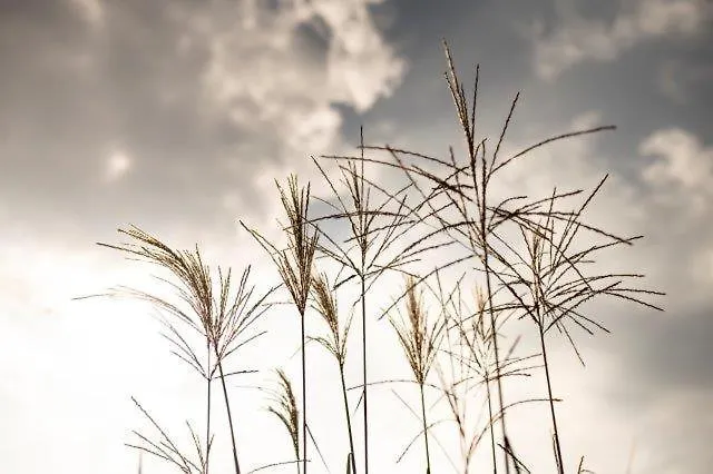 Triad Gaestehaus Dz Casa de hóspedes Krumbach (Lower Austria)